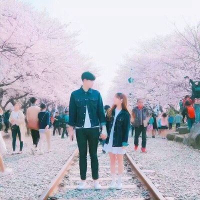 万灵启源bilibili下载