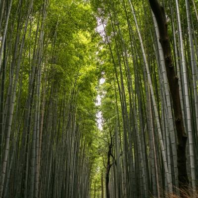三国罗曼史微信登录版下载